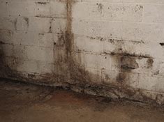 First, you can use an air quality sensor or moisture detector to test for organic compounds in the air and find sources of moisture in your wood or drywall. How to detect mold in your home with our easy to follow guide