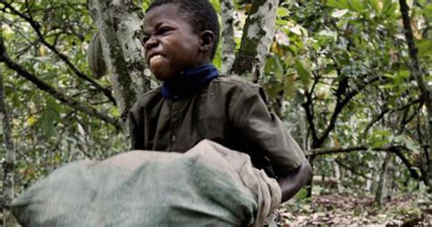 Cocoa Child Slavery Case Against Nestlé Adm And Cargill Proceeds