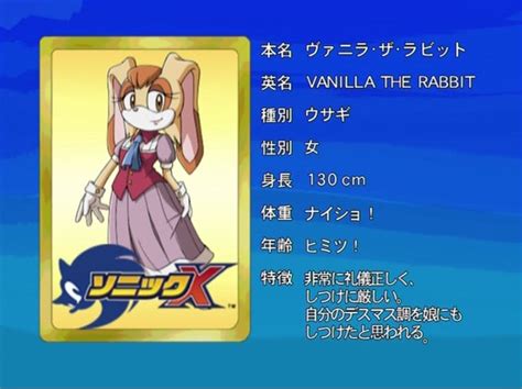 Vanilla The Rabbit Sonic News Network Fandom Powered By Wikia