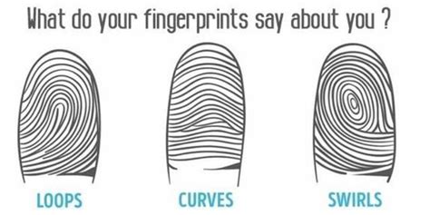 Find Out What Your Fingerprint Reveals About Your Personality Higher