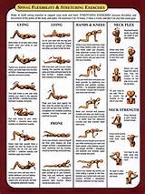 Photos of Exercises For Scoliosis Adults