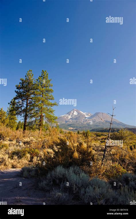 Mt Shasta Landscape Hi Res Stock Photography And Images Alamy