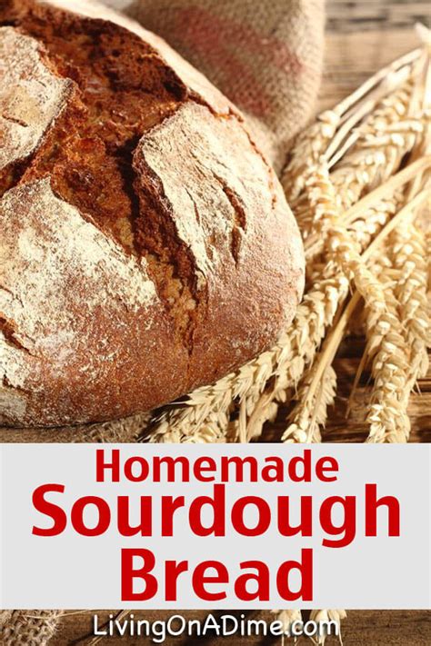 Potato Flake Sourdough Bread Starter Recipe Laptrinhx News