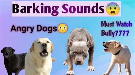 Dogs Barking Sounds Angry😨😨 Funny Dog Barking Compilation Dog