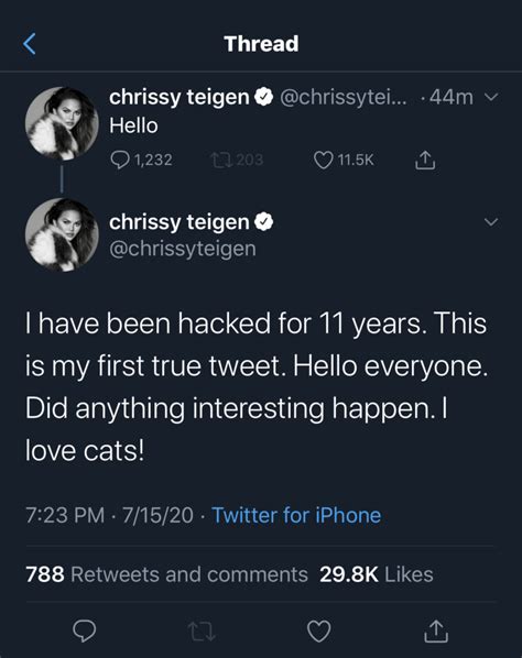 Christine diane teigen (born november 30, 1985) is an american model, television personality, author, and entrepreneur. Chrissy Teigen Tweets: 'I Have Been Hacked for 11 Years ...