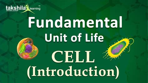 Cell Fundamental Unit Of Life Class 10 Science Biology Introduction