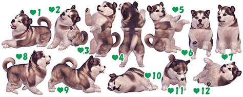 Large Small And Puppy Dog Poses At A Luckyday Sims 4 Updates