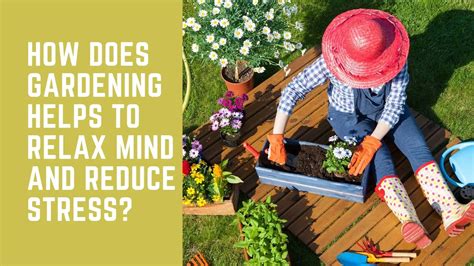 How Does Gardening Helps To Relax Mind And Reduce Stress
