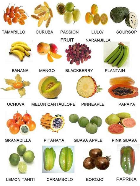 Fruits And Vegetables Vocabulary In English Exotic Food Food Fruit And Veg