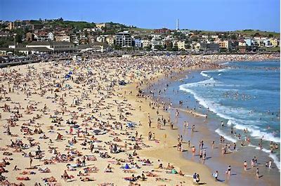 Image result for bondi beach australia