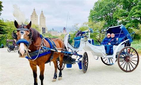 Vip Central Park Carriage Rides From 139 New York Ny Groupon
