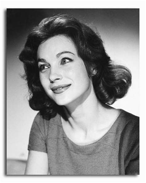 Ss2334150 Movie Picture Of Shirley Anne Field Buy Celebrity Photos