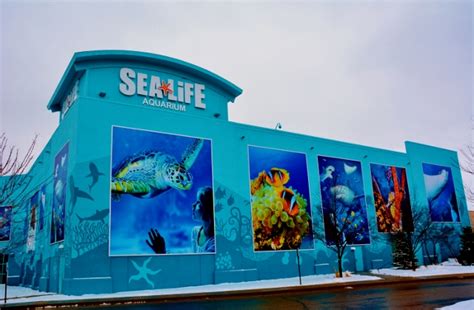 Sea Life Comes To Great Lakes