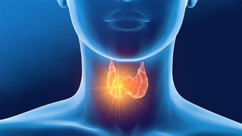 Why You Shouldnt Ignore Your Thyroid Ghp News