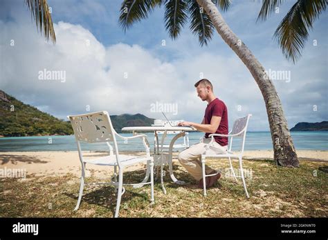 Digital Nomad Trees Hi Res Stock Photography And Images Alamy
