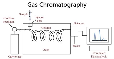Gas Chromatography Labelled Diagram
