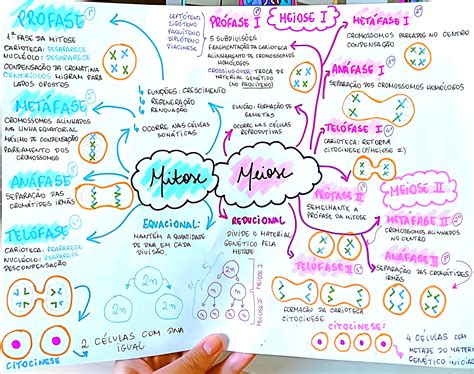 Mapa Mental Sobre Meiose Maps4study