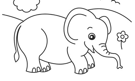 Dibujos De Elefantes Para Colorear Y Pintar