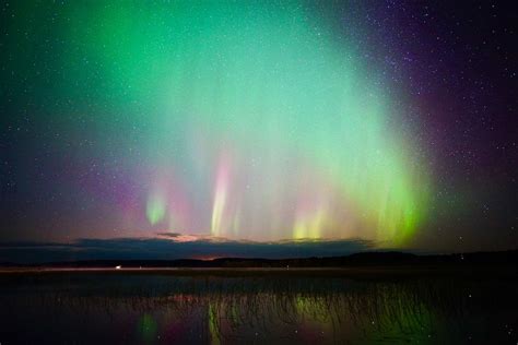All You Must Know About Northern Lights In Rovaniemi Natures