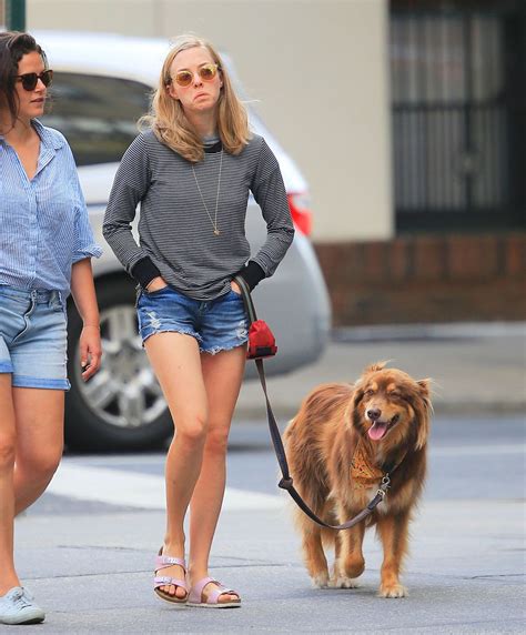 Amanda Seyfried And Her Dog Finn Out In New York 08272015 Hawtcelebs