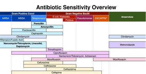 Antibiotic Sensitivity Overview Cheat Sheet Nclex Quiz