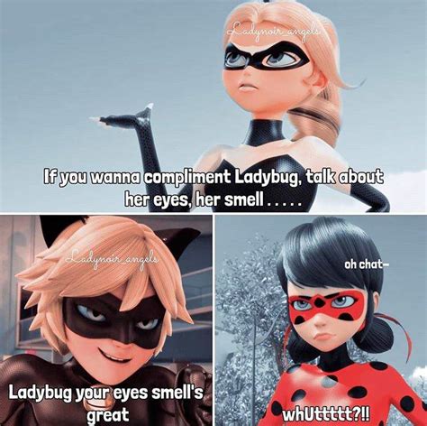 Miraculous Memes ¡miraculous Ladybug Amino