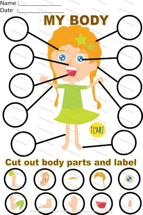 Ks1 Human Body Parts Labeling Activity Teaching Resources Body Parts