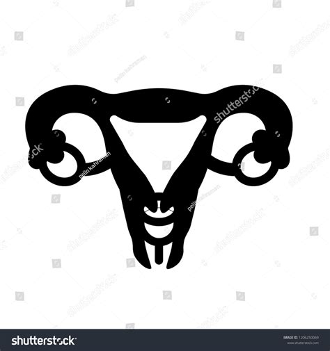 Female Reproductive Organ Stock Vector Royalty Free 1206250069 Shutterstock