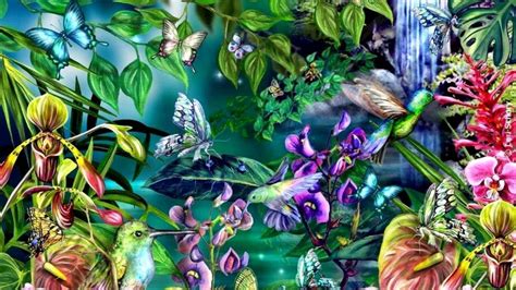47 Animated Hummingbird Wallpaper On Wallpapersafari