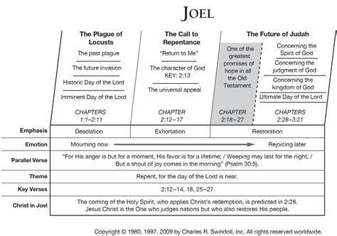 What Does Book Of Joel Teach Us