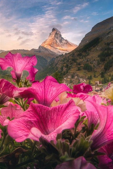 Matterhorn Switzerland Zermatt Beautiful World Beautiful Places