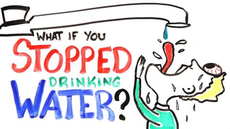 What Happens If You Dont Drink Enough Water Daily Video