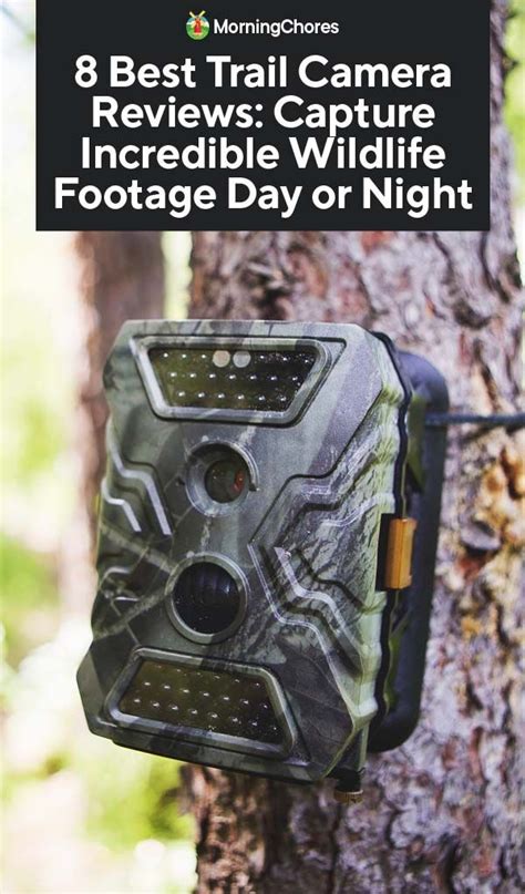 8 Best Trail Camera Reviews Capture Incredible Wildlife Footage Day Or
