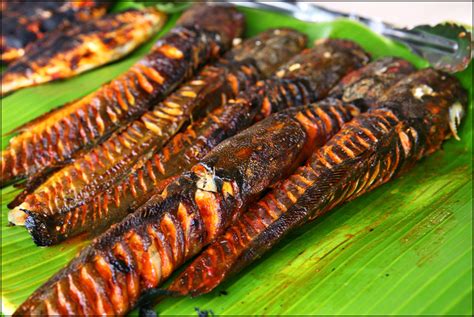 Nah, berikut ini beberapa bumbu dan juga cara membuat ikan bakar yang enak. ikan-keli-bakar - Malaysia Food & Travel Blog