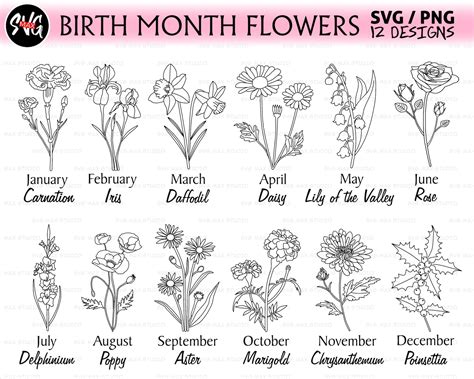 Birth month flower svg birthday flower svg Wildflower svg | Etsy