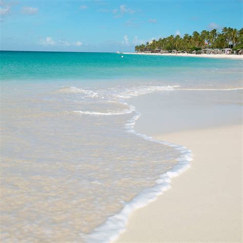 Druif Beach Aruba Best Beach In Aruba For Sunning And Socializing