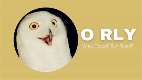 O Rly Meaning What Does O Rly Mean Capitalize My Title