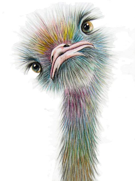 37 Best Emu And Ostrich Paintings Images Emu Art Bird Art