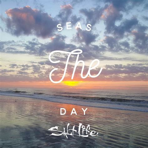 Pin by Teresa Tuten on Living on Tybee Island!!! | Beach ...