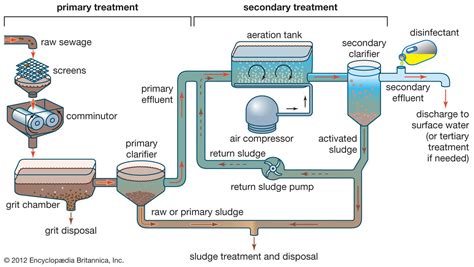 Secondary Treatment Sanitation Engineering Britannica