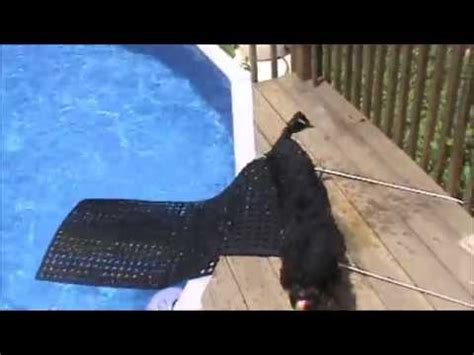 Dog pool ramps provide a safe way for pets and wild animals to get out of your pool. DIY Dog Ramp for Swimming Pool - YouTube