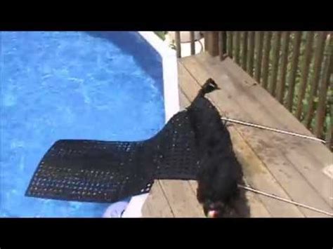 Outdoor play spaces outdoor pool outdoor ideas backyard ideas above ground swimming pools in ground pools dog pool ramp above ground pool ladders oberirdische pools. DIY Dog Ramp for Swimming Pool - YouTube