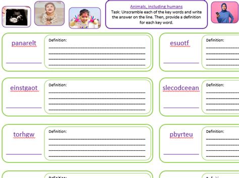 Year 5 Animals Including Humans Vocabulary Sheet Word Unscramble And