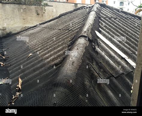 Roof Construction Roofing Concrete Stock Photo Alamy