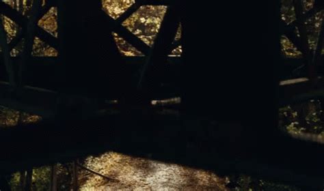 720x404 px download gif moviesa, junkies, or share you can share gif church, quiet, place, in twitter, facebook or instagram. Los GIFs de aquietplacemovie en Tenor