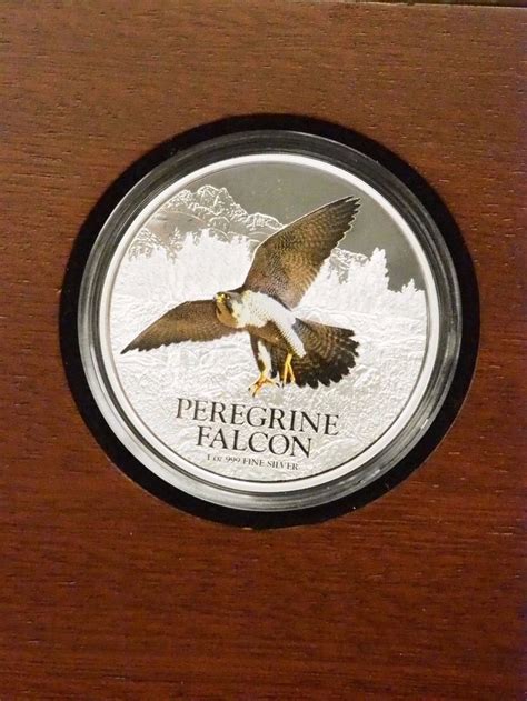 2013 new zealand birds of prey peregrine falcon 1 oz proof silver colorized coin peregrine