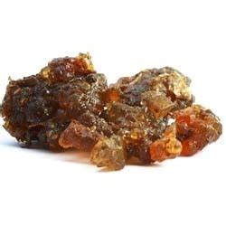 Guggul extract contains 2.5% guggulosterones by hplc. Commiphora Mukul Extract - Wholesaler & Wholesale Dealers ...