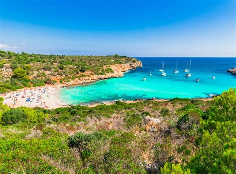 Balearic Islands Canary Or Balearic Islands Discover Which Is Best