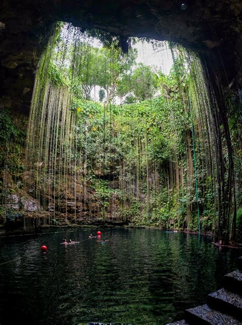 17 Best Cenotes Near Cancun The Whole World Is A Playground
