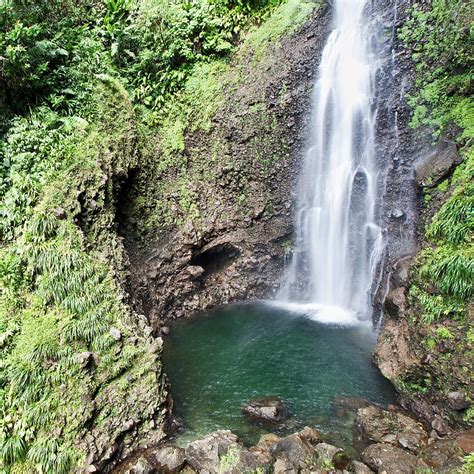 Contractors and artisans registration form. Middleham Falls: one of the nicest and tallest waterfalls in Dominica - Tiplr